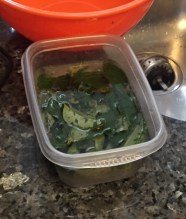 Wash and dry curry leaves