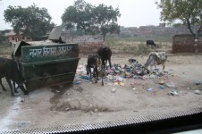 India Trash
