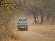Jeep Ranthambore