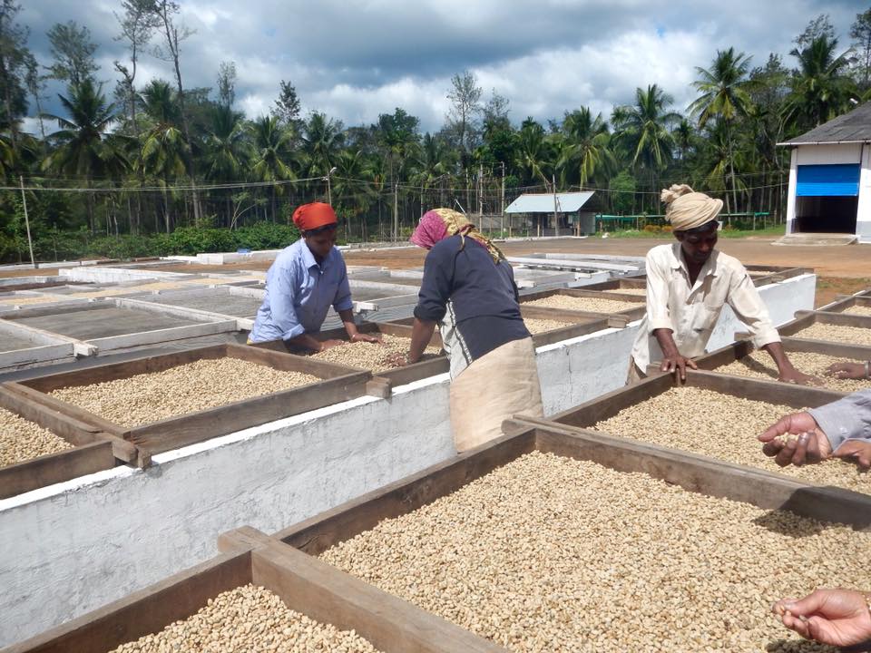 13315233_10103954365092460_1705275612731804023_n